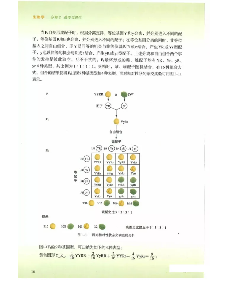 新浙科版高中生物必修2《遗传与进化》_高中电子课本_最新版高中全科高清电子课本_6高中生物课本_2019新人教版