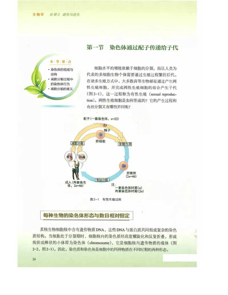 新浙科版高中生物必修2《遗传与进化》_高中电子课本_最新版高中全科高清电子课本_6高中生物课本_2019新人教版