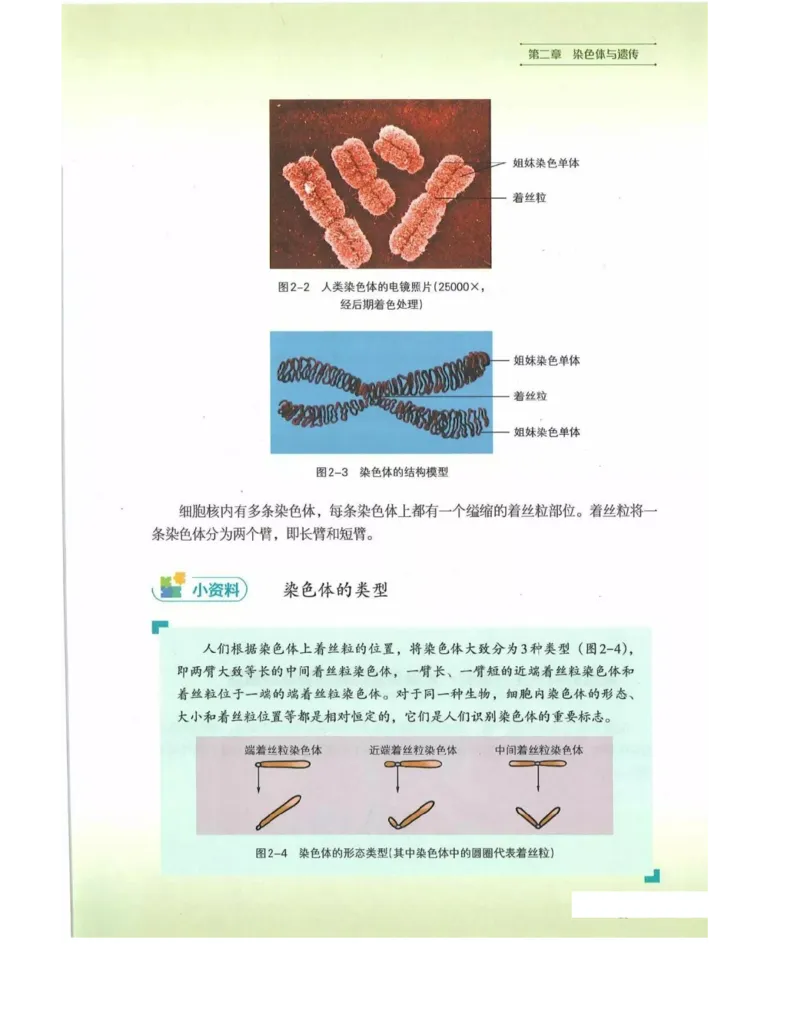 新浙科版高中生物必修2《遗传与进化》_高中电子课本_最新版高中全科高清电子课本_6高中生物课本_2019新人教版