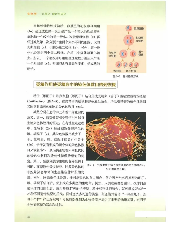 新浙科版高中生物必修2《遗传与进化》_高中电子课本_最新版高中全科高清电子课本_6高中生物课本_2019新人教版
