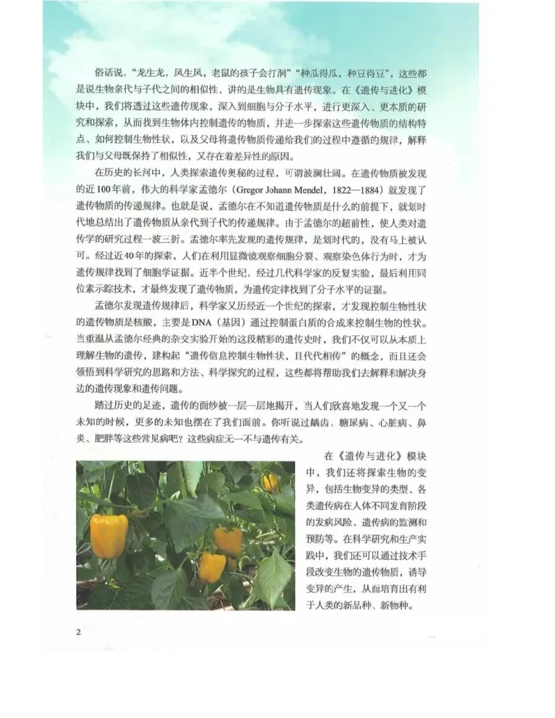 新浙科版高中生物必修2《遗传与进化》_高中电子课本_最新版高中全科高清电子课本_6高中生物课本_2019新人教版
