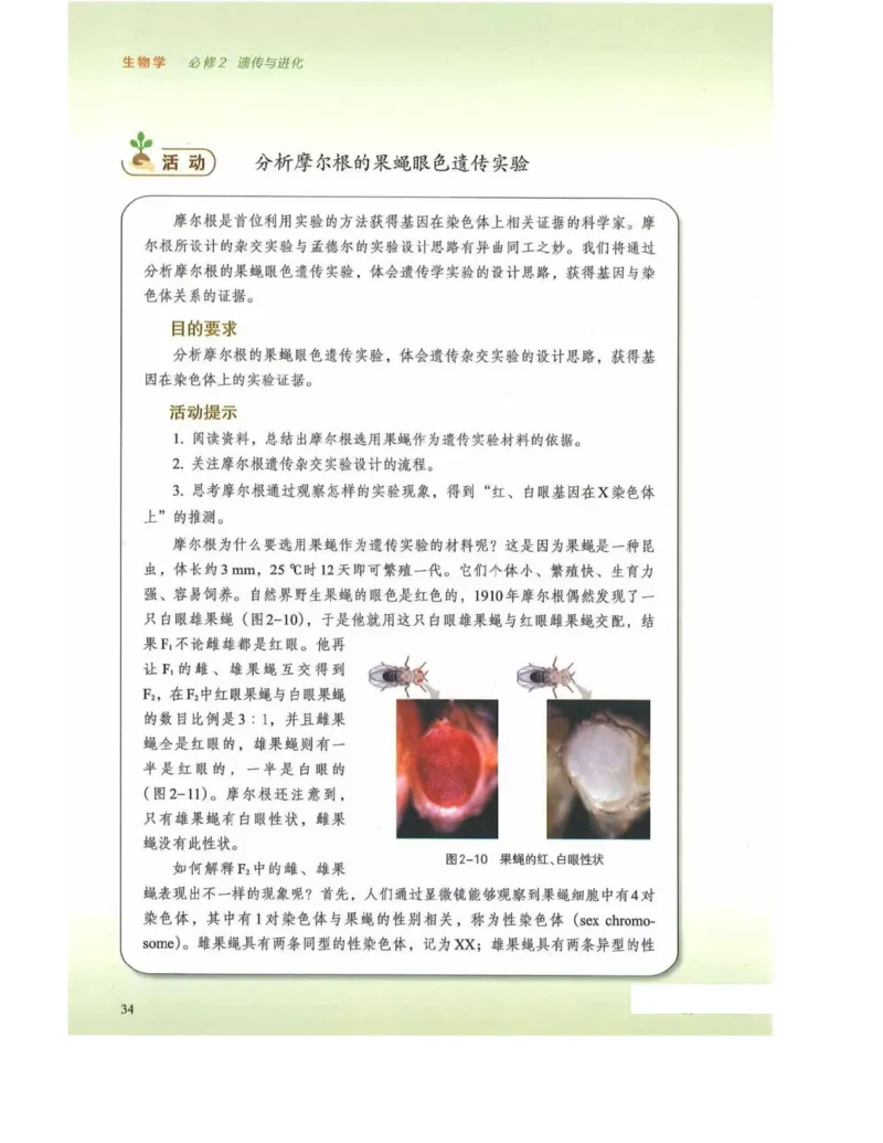新浙科版高中生物必修2《遗传与进化》_高中电子课本_最新版高中全科高清电子课本_6高中生物课本_2019新人教版