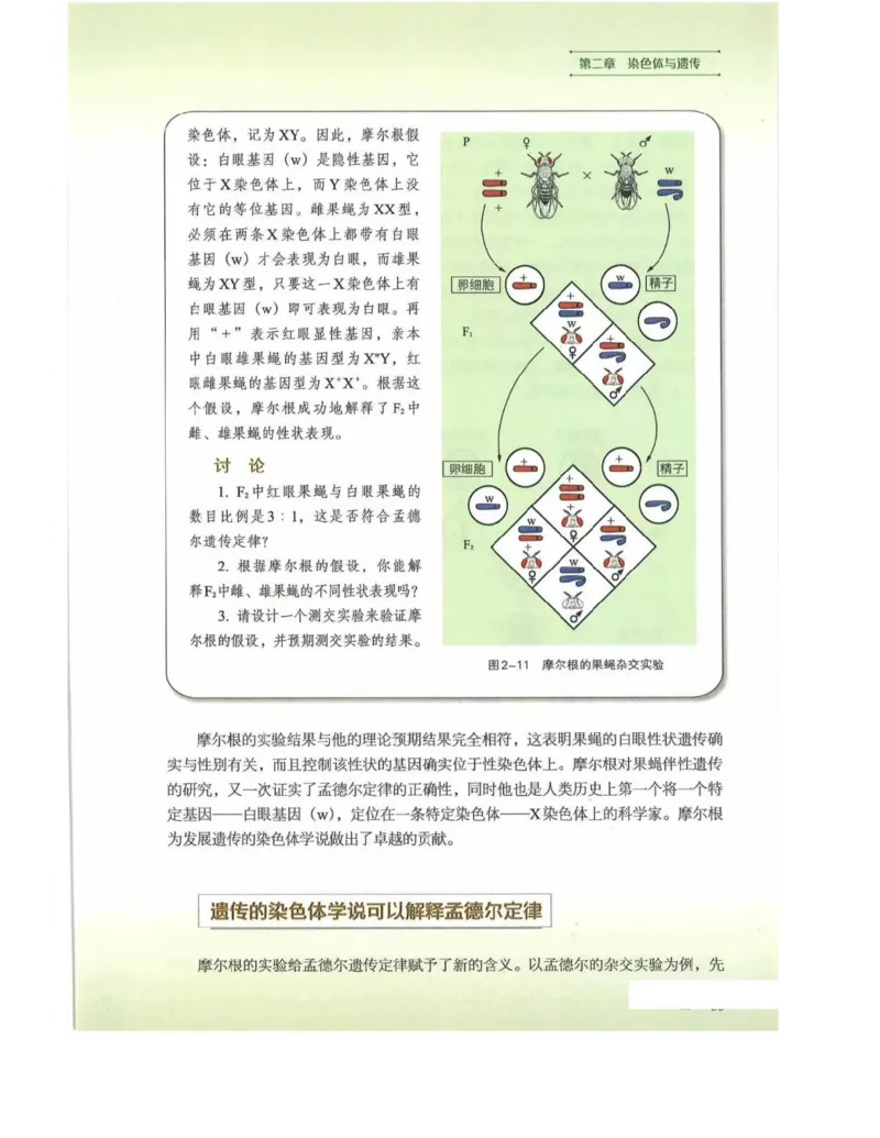 新浙科版高中生物必修2《遗传与进化》_高中电子课本_最新版高中全科高清电子课本_6高中生物课本_2019新人教版