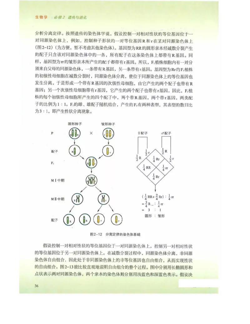 新浙科版高中生物必修2《遗传与进化》_高中电子课本_最新版高中全科高清电子课本_6高中生物课本_2019新人教版