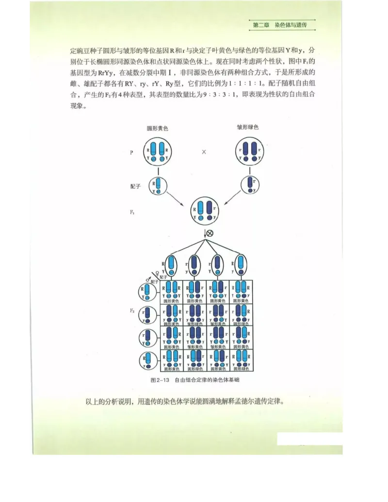 新浙科版高中生物必修2《遗传与进化》_高中电子课本_最新版高中全科高清电子课本_6高中生物课本_2019新人教版