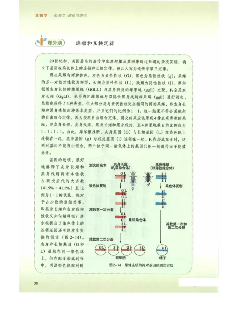 新浙科版高中生物必修2《遗传与进化》_高中电子课本_最新版高中全科高清电子课本_6高中生物课本_2019新人教版