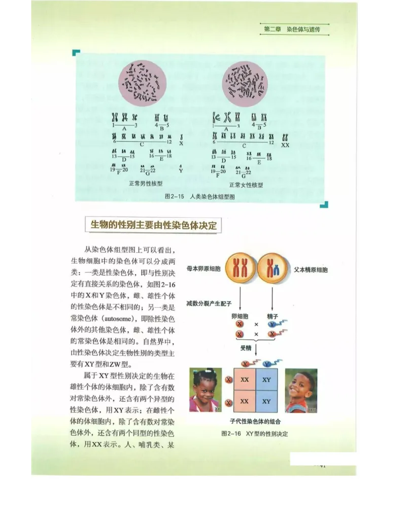 新浙科版高中生物必修2《遗传与进化》_高中电子课本_最新版高中全科高清电子课本_6高中生物课本_2019新人教版