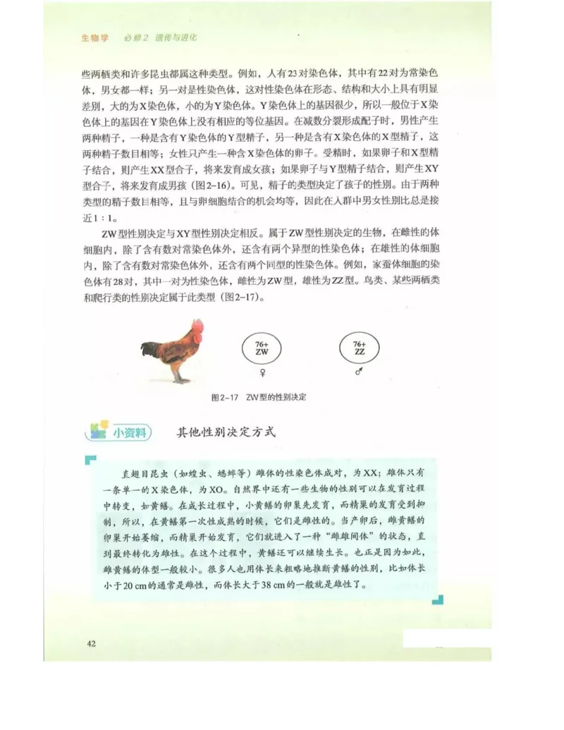 新浙科版高中生物必修2《遗传与进化》_高中电子课本_最新版高中全科高清电子课本_6高中生物课本_2019新人教版