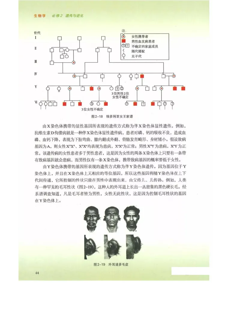 新浙科版高中生物必修2《遗传与进化》_高中电子课本_最新版高中全科高清电子课本_6高中生物课本_2019新人教版