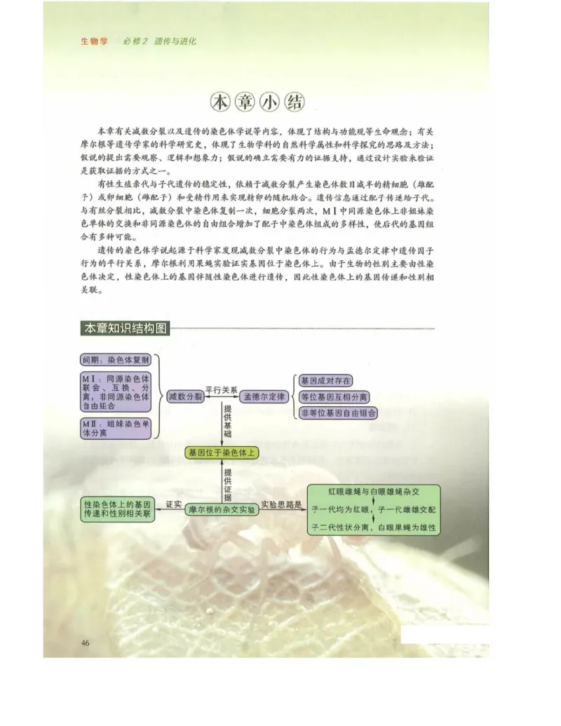 新浙科版高中生物必修2《遗传与进化》_高中电子课本_最新版高中全科高清电子课本_6高中生物课本_2019新人教版