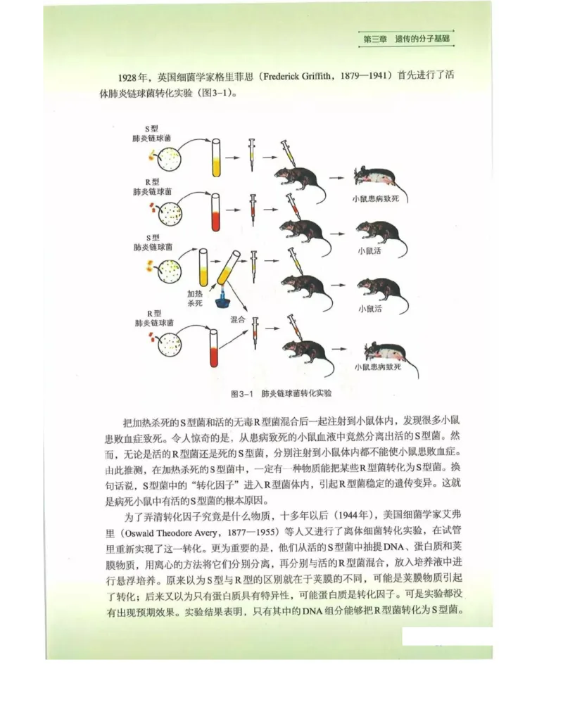 新浙科版高中生物必修2《遗传与进化》_高中电子课本_最新版高中全科高清电子课本_6高中生物课本_2019新人教版