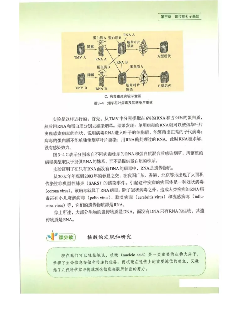 新浙科版高中生物必修2《遗传与进化》_高中电子课本_最新版高中全科高清电子课本_6高中生物课本_2019新人教版