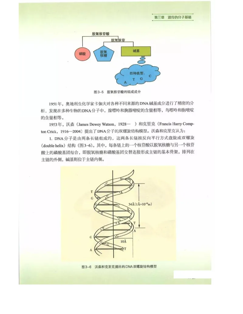 新浙科版高中生物必修2《遗传与进化》_高中电子课本_最新版高中全科高清电子课本_6高中生物课本_2019新人教版