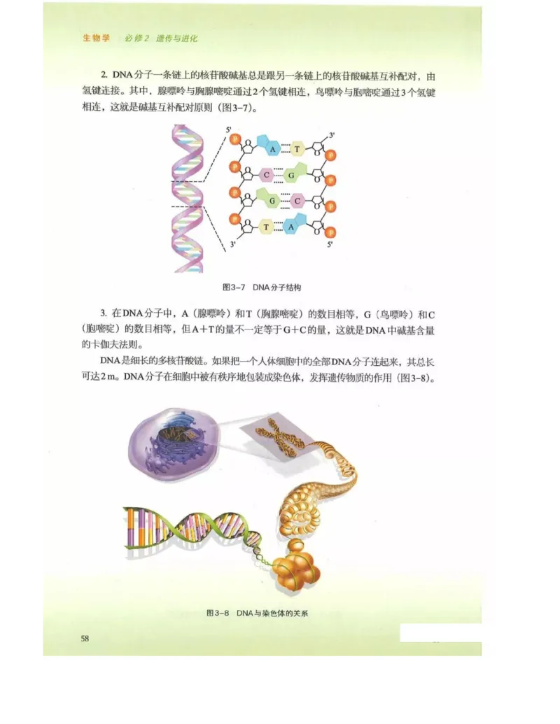 新浙科版高中生物必修2《遗传与进化》_高中电子课本_最新版高中全科高清电子课本_6高中生物课本_2019新人教版
