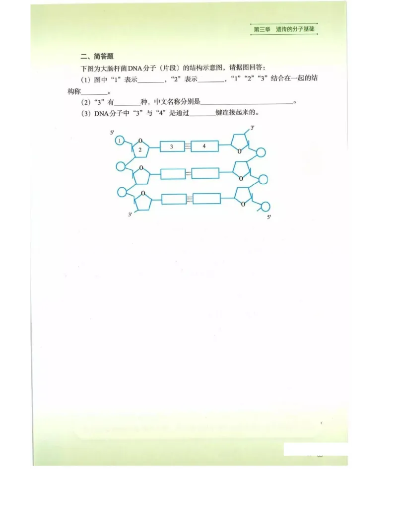 新浙科版高中生物必修2《遗传与进化》_高中电子课本_最新版高中全科高清电子课本_6高中生物课本_2019新人教版