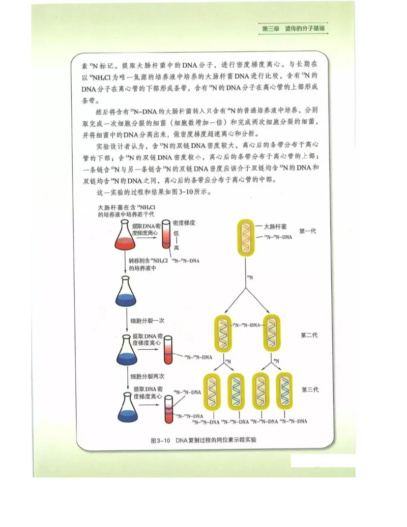 新浙科版高中生物必修2《遗传与进化》_高中电子课本_最新版高中全科高清电子课本_6高中生物课本_2019新人教版