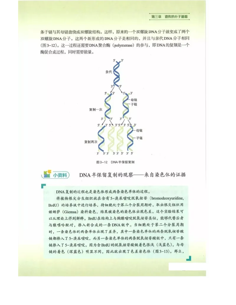 新浙科版高中生物必修2《遗传与进化》_高中电子课本_最新版高中全科高清电子课本_6高中生物课本_2019新人教版