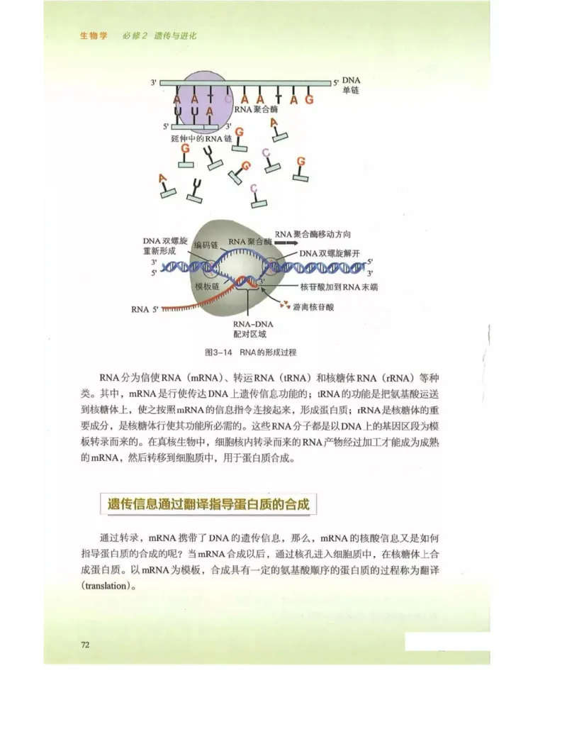 新浙科版高中生物必修2《遗传与进化》_高中电子课本_最新版高中全科高清电子课本_6高中生物课本_2019新人教版