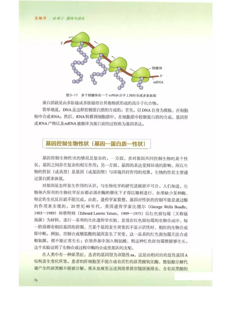 新浙科版高中生物必修2《遗传与进化》_高中电子课本_最新版高中全科高清电子课本_6高中生物课本_2019新人教版