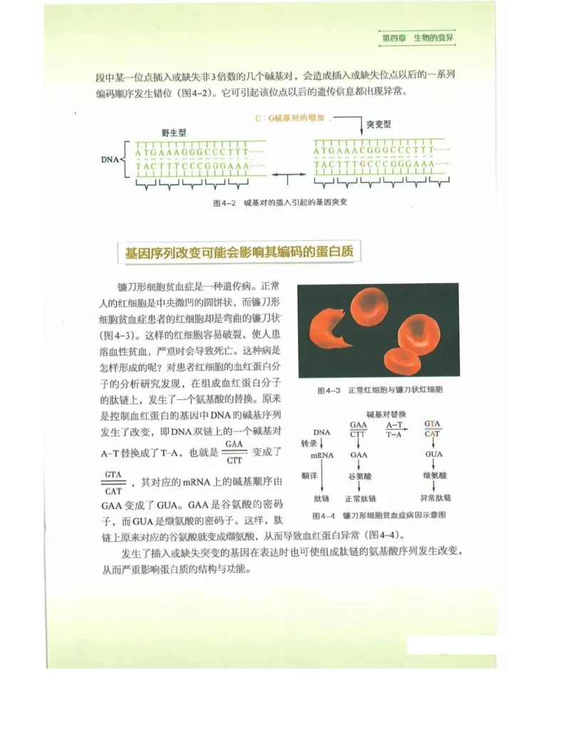 新浙科版高中生物必修2《遗传与进化》_高中电子课本_最新版高中全科高清电子课本_6高中生物课本_2019新人教版
