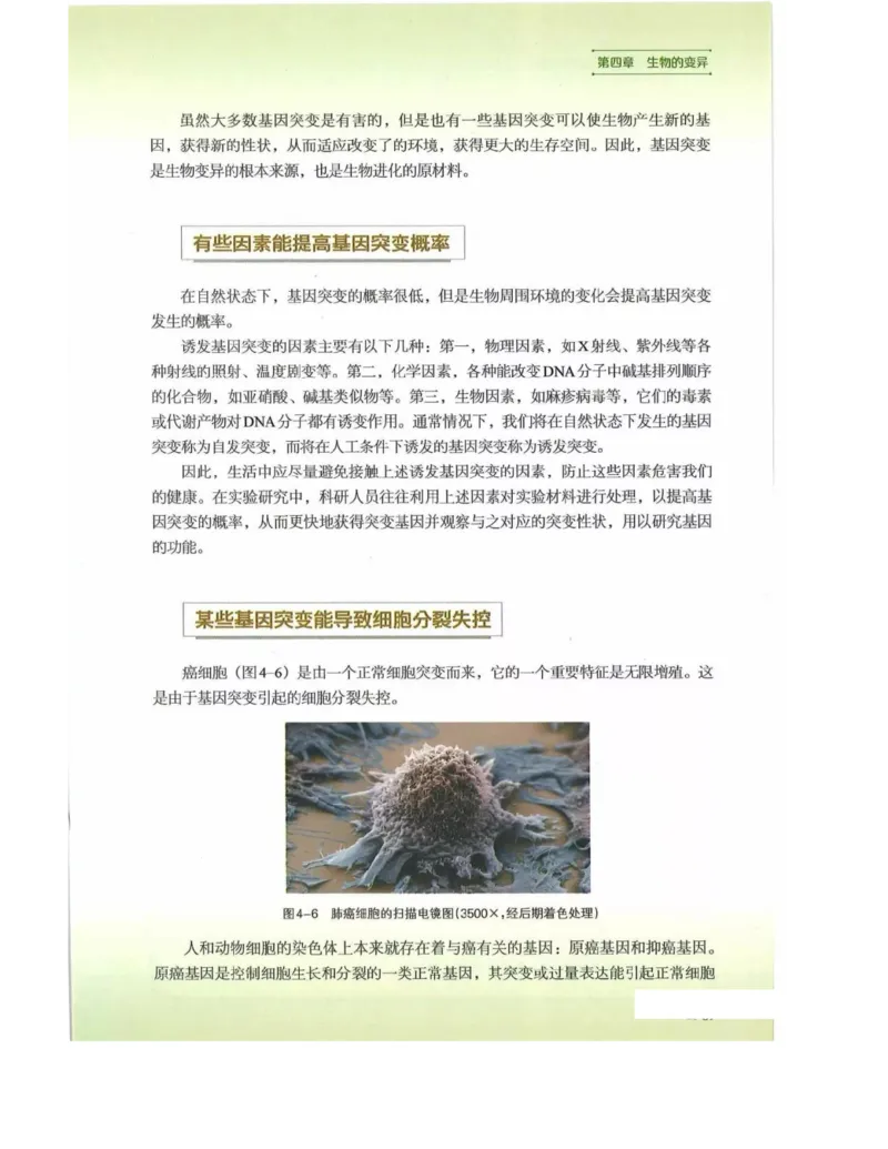 新浙科版高中生物必修2《遗传与进化》_高中电子课本_最新版高中全科高清电子课本_6高中生物课本_2019新人教版