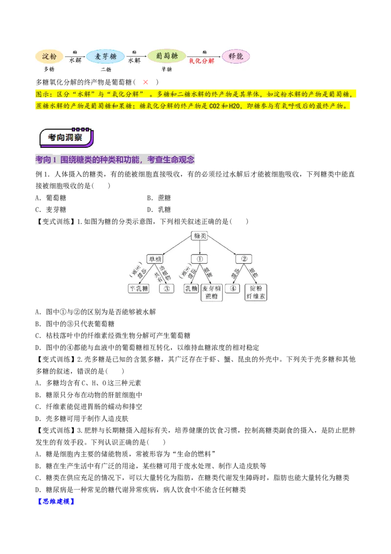 第03讲糖类和脂质（讲义）（原卷版）_新高考复习资料_2025年新高考资料_2025年高考生物一轮复习讲练测（新教材新高考）