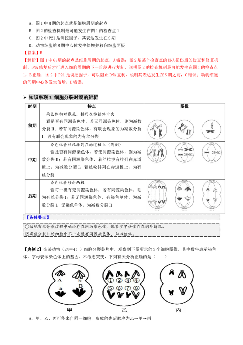 第05讲细胞的增殖和减数分裂（讲义）（解析版）_2025年新高考资料_二轮复习_上好课2025年高考生物二轮复习讲练测（新高考通用）3380526