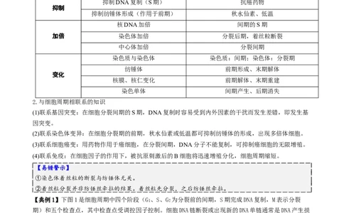第05讲细胞的增殖和减数分裂（讲义）（解析版）_2025年新高考资料_二轮复习_上好课2025年高考生物二轮复习讲练测（新高考通用）3380526