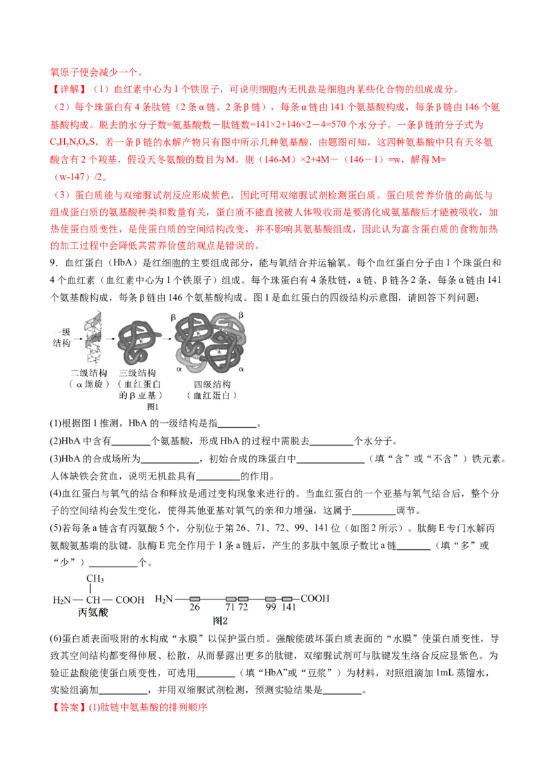 第04讲蛋白质和核酸（练习）（解析版）_2025年新高考资料_一轮复习_2025年高考生物一轮复习讲练测（新教材新高考）