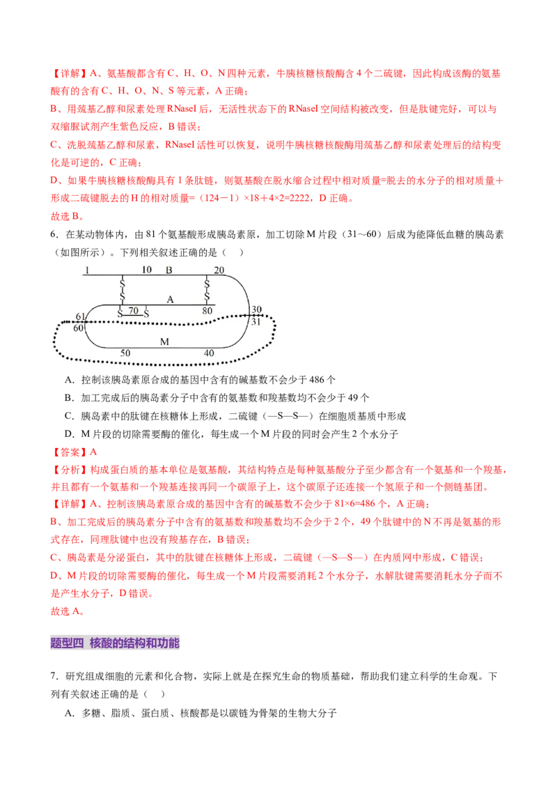 第04讲蛋白质和核酸（练习）（解析版）_2025年新高考资料_一轮复习_2025年高考生物一轮复习讲练测（新教材新高考）