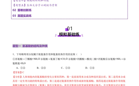 第04讲蛋白质和核酸（练习）（解析版）_2025年新高考资料_一轮复习_2025年高考生物一轮复习讲练测（新教材新高考）