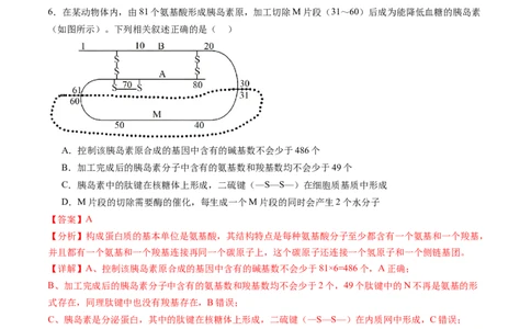 第04讲蛋白质和核酸（练习）（解析版）_2025年新高考资料_一轮复习_2025年高考生物一轮复习讲练测（新教材新高考）