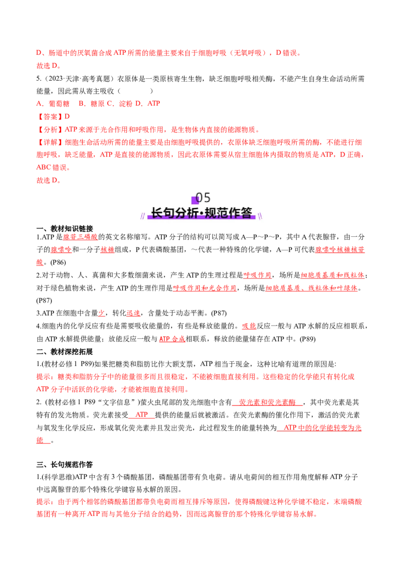 第08讲酶和ATP（第二课时）（讲义）（解析版）_2025年新高考资料_一轮复习_2025年高考生物一轮复习讲练测（新教材新高考）