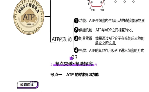 第08讲酶和ATP（第二课时）（讲义）（解析版）_2025年新高考资料_一轮复习_2025年高考生物一轮复习讲练测（新教材新高考）