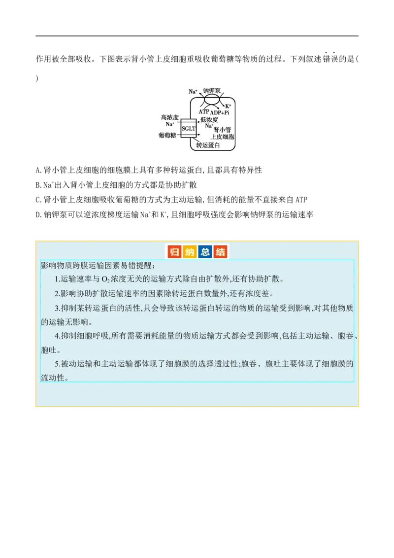 第02讲细胞的基本结构、功能与物质进出细胞的方式（讲义）原卷版_新高考复习资料_2024年新高考复习资料_二轮复习资料_2024年高考生物二轮复习讲练测（新教材新高考）_配套讲义