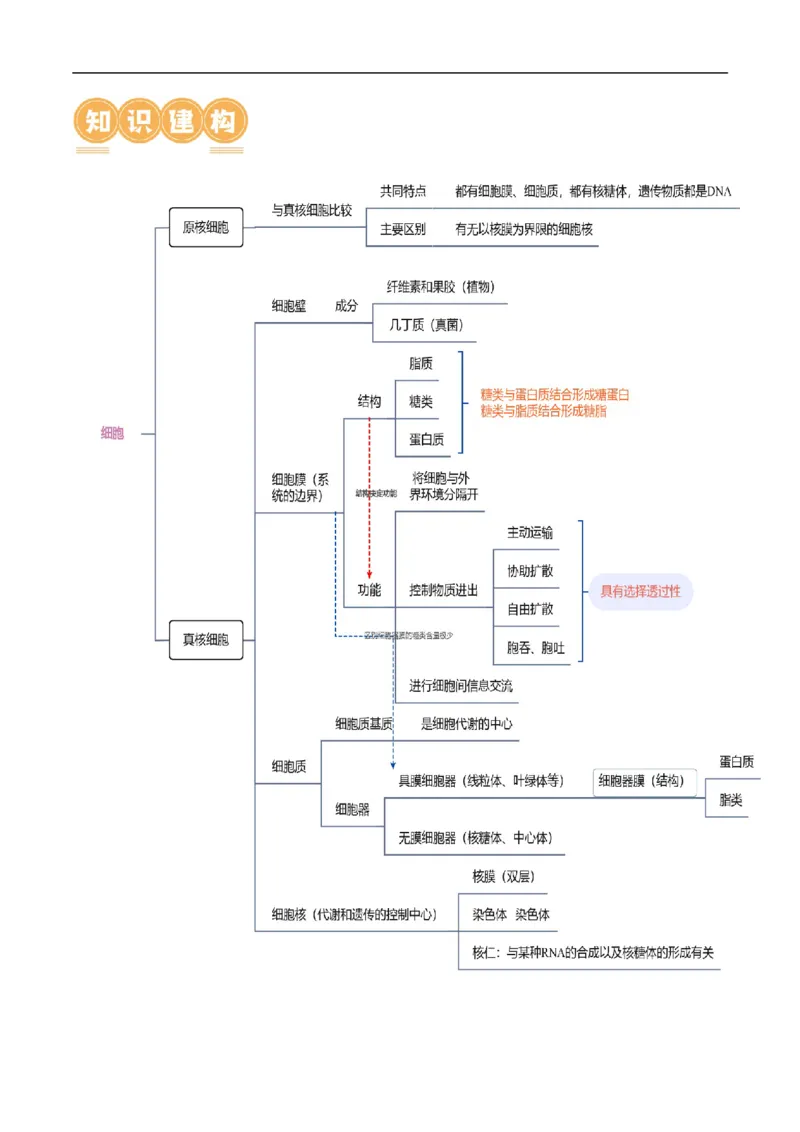 第02讲细胞的基本结构、功能与物质进出细胞的方式（讲义）原卷版_新高考复习资料_2024年新高考复习资料_二轮复习资料_2024年高考生物二轮复习讲练测（新教材新高考）_配套讲义