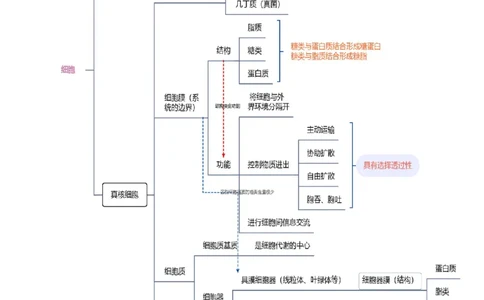 第02讲细胞的基本结构、功能与物质进出细胞的方式（讲义）原卷版_新高考复习资料_2024年新高考复习资料_二轮复习资料_2024年高考生物二轮复习讲练测（新教材新高考）_配套讲义