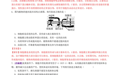 第02讲细胞的基本结构、功能与物质进出细胞的方式（练习）（解析版）_2025年新高考资料_二轮复习_上好课2025年高考生物二轮复习讲练测（新高考通用）3380526