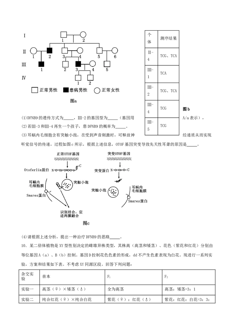 第08讲伴性遗传和人类遗传病（专项训练，3大题型）（原卷版）_2025年新高考资料_二轮复习_上好课2025年高考生物二轮复习讲练测（新高考通用）3380526