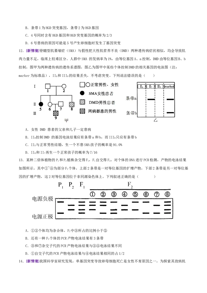 第08讲伴性遗传和人类遗传病（专项训练，3大题型）（原卷版）_2025年新高考资料_二轮复习_上好课2025年高考生物二轮复习讲练测（新高考通用）3380526