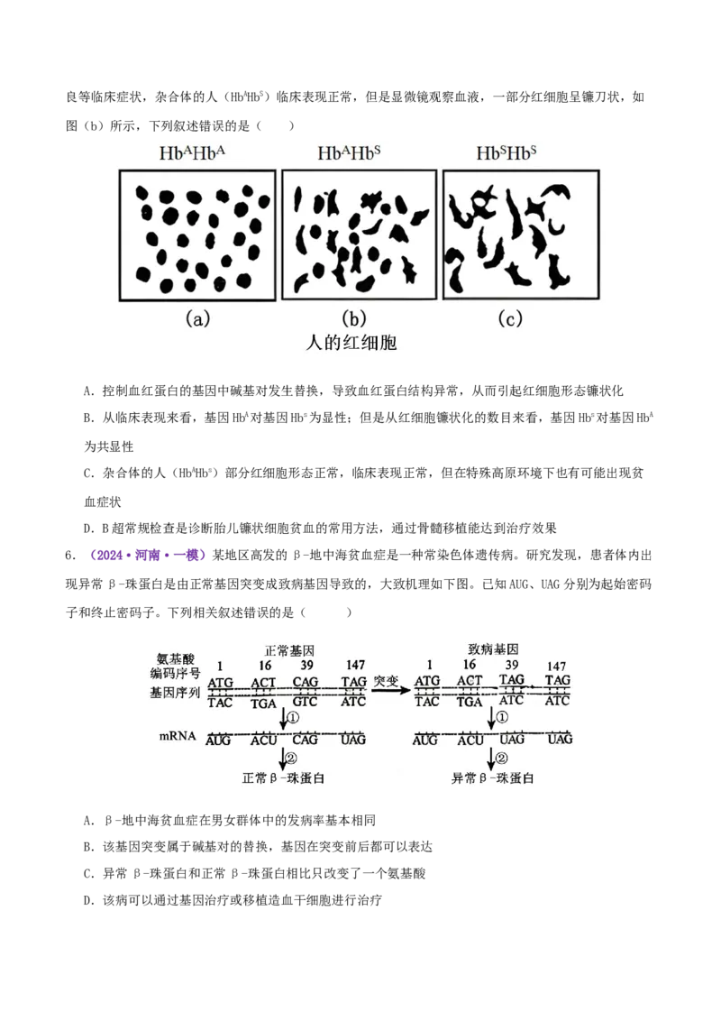 第08讲伴性遗传和人类遗传病（专项训练，3大题型）（原卷版）_2025年新高考资料_二轮复习_上好课2025年高考生物二轮复习讲练测（新高考通用）3380526