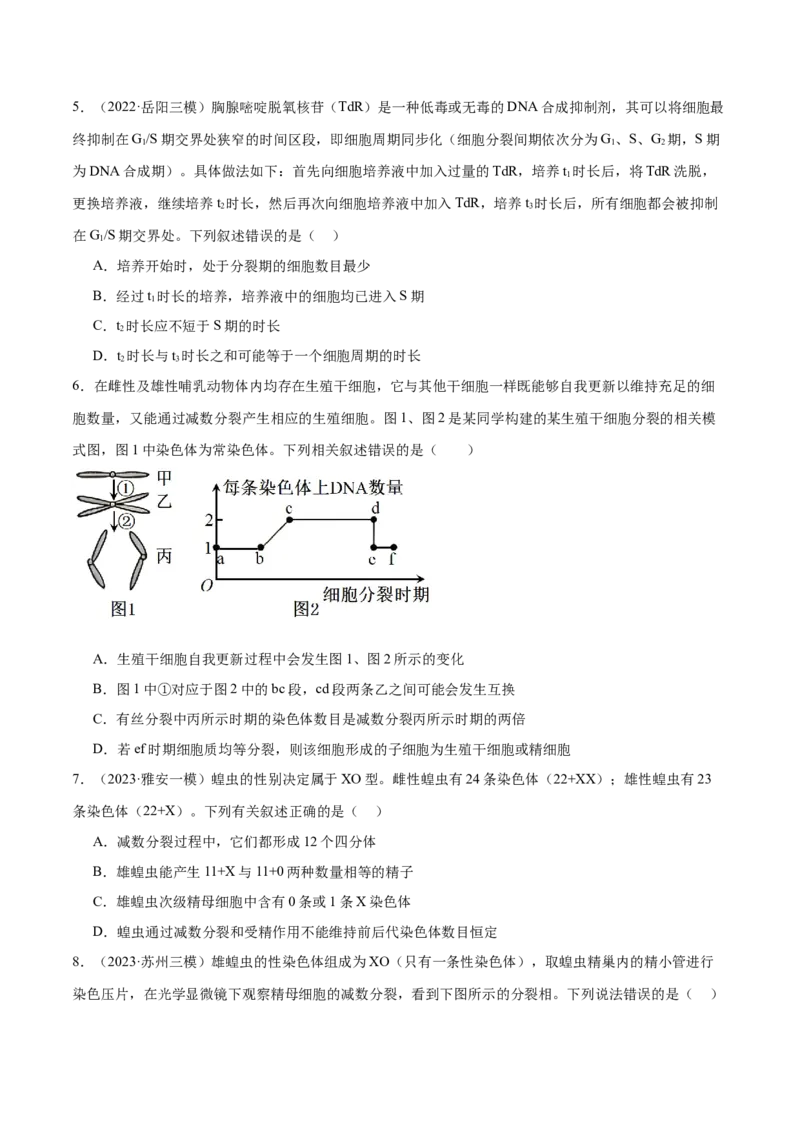 第05讲细胞的增殖与受精作用（练习）（原卷版）_新高考复习资料_2024年新高考复习资料_二轮复习资料_2024年高考生物二轮复习讲练测（新教材新高考）_配套练习