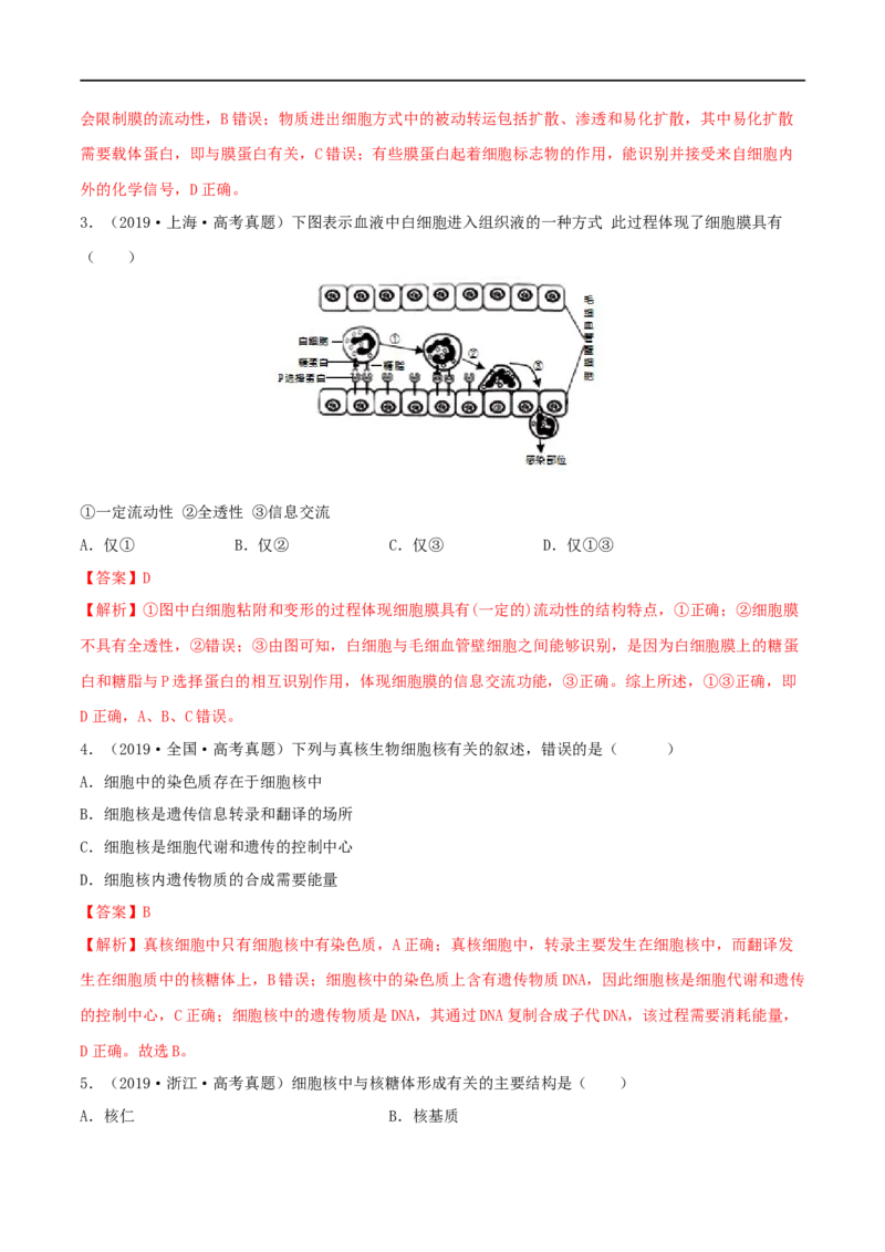 第04练细胞膜和细胞核（解析版）_新高考复习资料_2023年新高考复习资料_一轮复习_2023年高考生物一轮复习小题多维练（新高考专用）