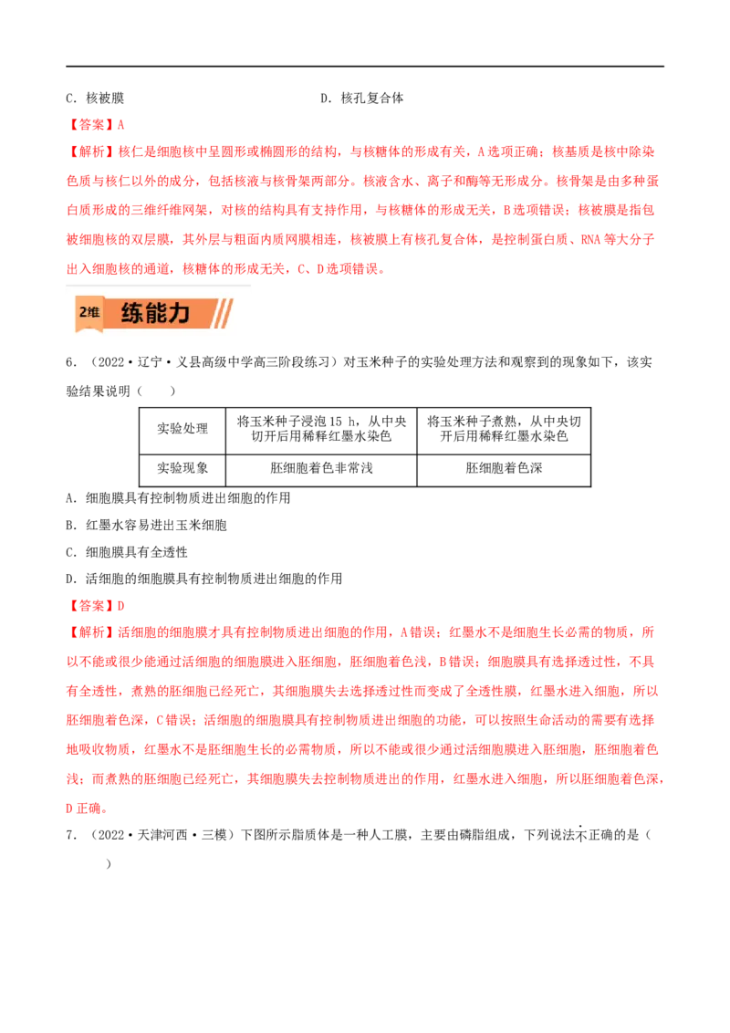 第04练细胞膜和细胞核（解析版）_新高考复习资料_2023年新高考复习资料_一轮复习_2023年高考生物一轮复习小题多维练（新高考专用）