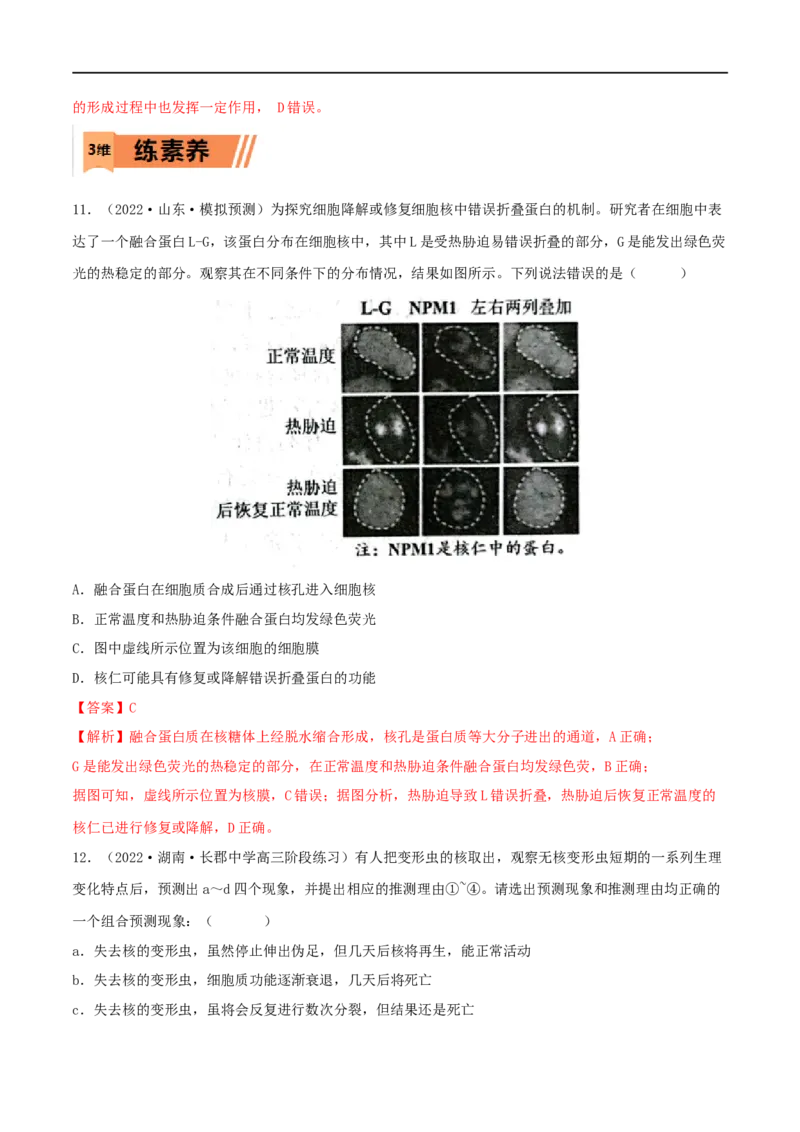 第04练细胞膜和细胞核（解析版）_新高考复习资料_2023年新高考复习资料_一轮复习_2023年高考生物一轮复习小题多维练（新高考专用）
