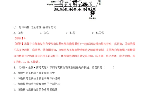 第04练细胞膜和细胞核（解析版）_新高考复习资料_2023年新高考复习资料_一轮复习_2023年高考生物一轮复习小题多维练（新高考专用）