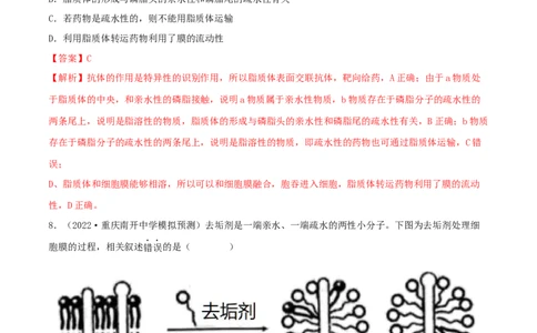 第04练细胞膜和细胞核（解析版）_新高考复习资料_2023年新高考复习资料_一轮复习_2023年高考生物一轮复习小题多维练（新高考专用）