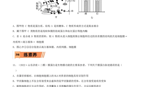 第05练细胞器（原卷版）_新高考复习资料_2023年新高考复习资料_一轮复习_2023年高考生物一轮复习小题多维练（新高考专用）