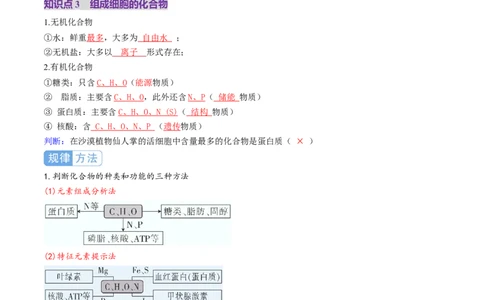 第02讲细胞中的元素和化合物（讲义）（解析版）_2025年新高考资料_一轮复习_2025年高考生物一轮复习讲练测（新教材新高考）