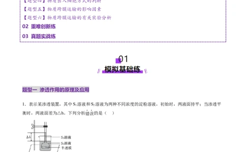 第07讲物质运输（练习）（原卷版）_新高考复习资料_2025年新高考资料_2025年高考生物一轮复习讲练测（新教材新高考）
